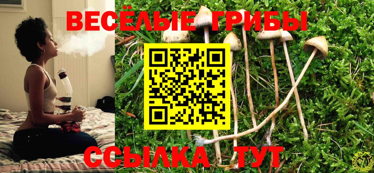 Галлюциногенные грибы прущие грибы  Вход с VPN  Ипатово 